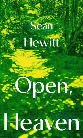Open, Heaven by Seán Hewitt 9781787335202