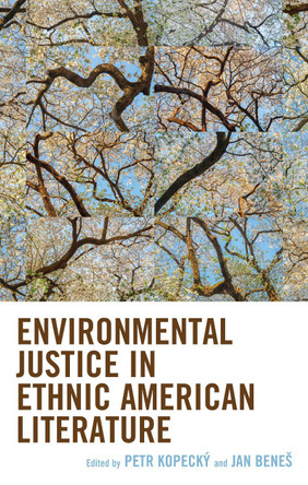 Environmental Justice in Ethnic American Literature by Petr Kopecký 9781666919004