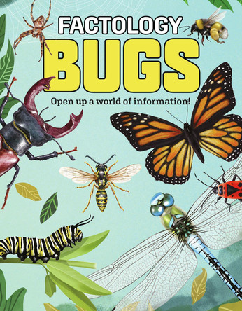 Factology: Bugs: Open Up a World of Information! 9781787081321