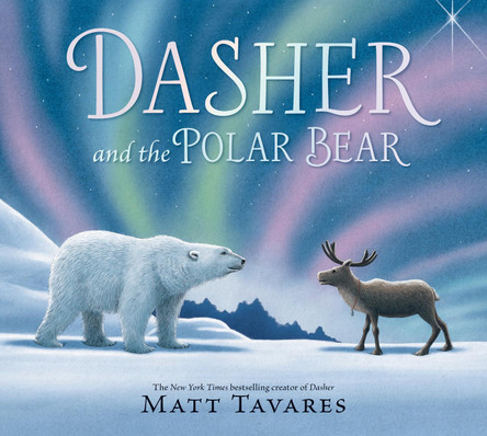 Dasher and the Polar Bear Matt Tavares 9781529528824