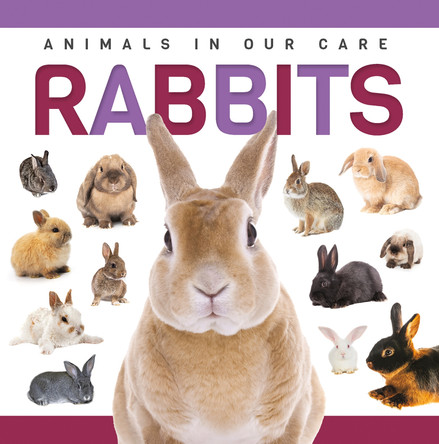 Rabbits Alex Hall 9781952455384