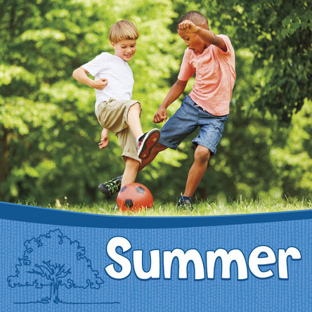 Summer Karen Bischer 9781398260436