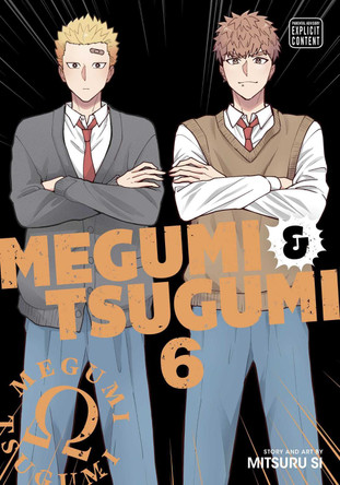 Megumi & Tsugumi, Vol. 6 Mitsuru Si 9781974755509