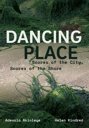 Dancing Place: Scoring the City, Scoring the Shore Adesola Akinleye 9781835951873