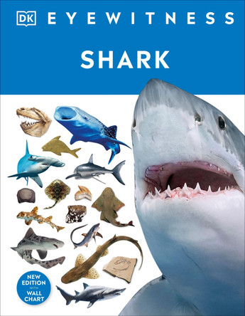 Shark by DK