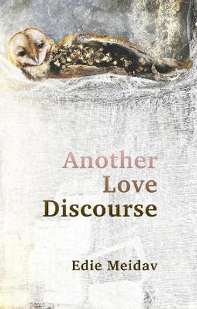 Another Love Discourse by Edie Meidav