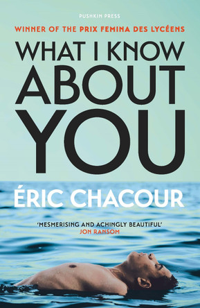 What I Know About You by Eric Chacour 9781805334828