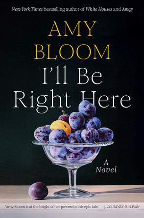 I'll Be Right Here: A Novel by Amy Bloom 9781984801722