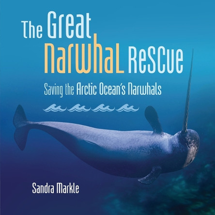 The Great Narwhal Rescue: Saving the Arctic Ocean's Narwhals by Sandra Markle 9798765610169