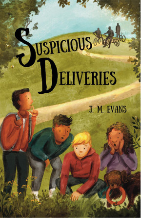 Suspicious Deliveries by J M Evans 9781912457502
