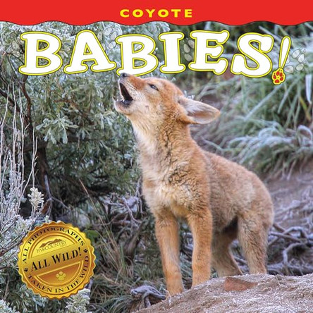 Coyote Babies! by Farcountry Press 9781560378617