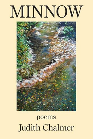 Minnow by Judith Chalmer 9781950462667