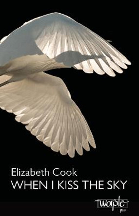 When I Kiss The Sky by Elizabeth Cook