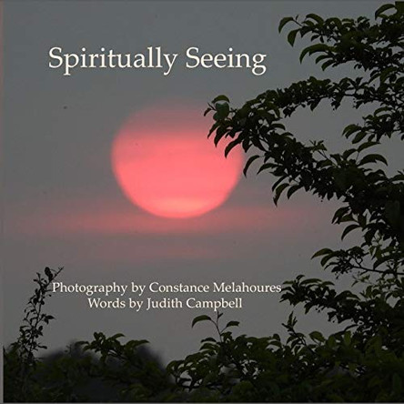 Spiritually Seeing by Constance Melahoures 9781951854034