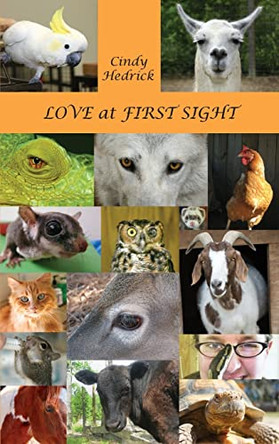 Love at First Sight by Cindy Hedrick 9781955095044