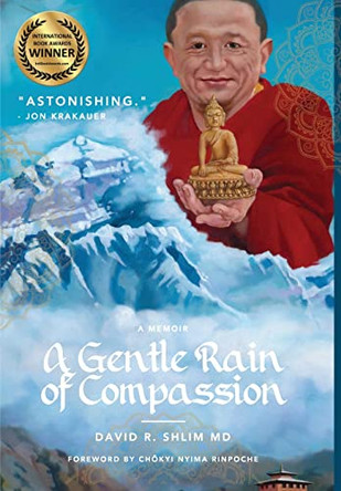 A Gentle Rain of Compassion by David R Shlim 9781955690324