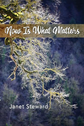 Now Is What Matters by Janet Steward 9781956285550