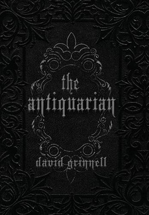 The Antiquarian by David E Grinnell 9781959860235