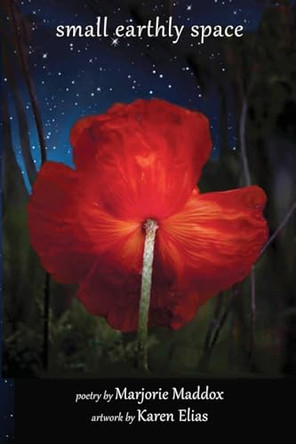 Small Earthly Space by Marjorie Maddox 9781962082495