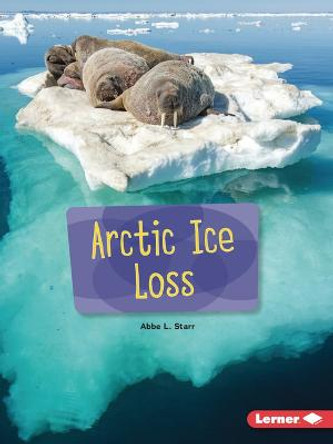 Arctic Ice Loss by Abbe L Starr