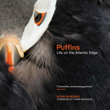 Puffins: Life on the Atlantic Edge by Kevin Morgans