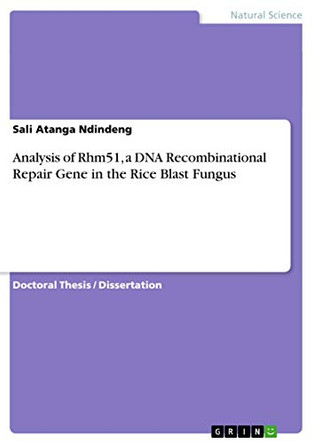Analysis of Rhm51, a DNA Recombinational Repair Gene in the Rice Blast Fungus by Sali Atanga Ndindeng 9783656090298