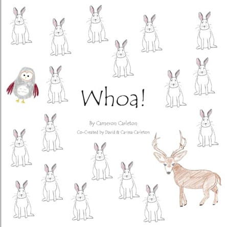 Whoa! by Cameron Carleton 9781738695409