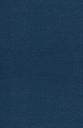 Protecting Our Rights: The Role of First Amendment Auditors by Bill Vincent 9798330559701