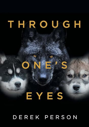 Through One's Eyes by Derek Person 9798889826378