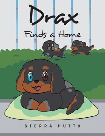 Drax Finds A Home by Sierra Hutto 9798893154320