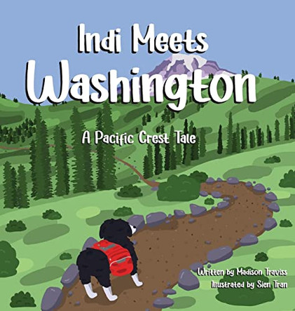 Indi Meets Washington by Madison Traviss 9798985923100