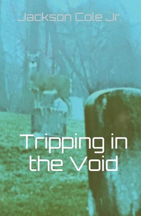 Tripping in the Void by Jackson Cole, Jr 9798988648826