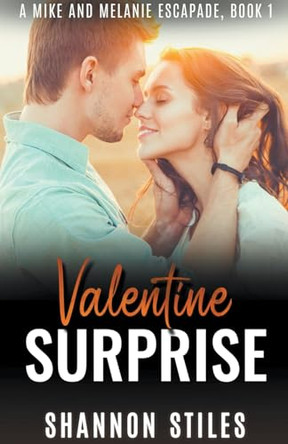 Valentine Surprise by Shannon Stiles 9798223458791