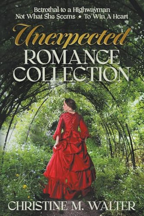 Unexpected Romance Collection by Christine M Walter 9798223527701