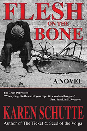 Flesh on the Bone: 3rd in a Trilogy of an American Family Immigration Saga by Karen L Schutte 9780990409502