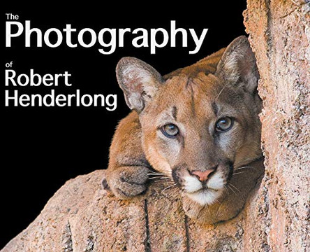 The Photography of Robert Henderlong by Robert Henderlong 9781646690701