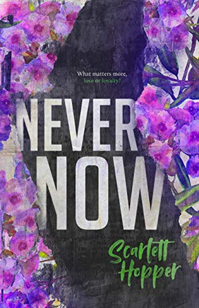 Never Now by Scarlett Hopper 9781649706706