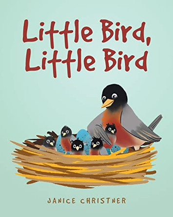 Little Bird, Little Bird by Janice Christner 9781685179878