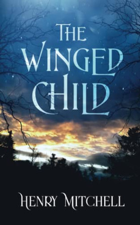 The Winged Child by Henry Mitchell 9781735392639