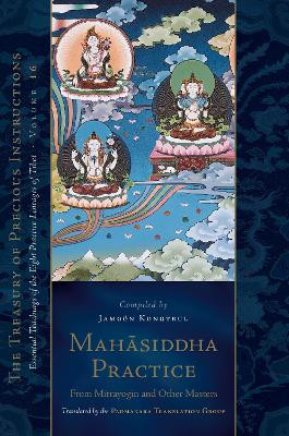 Mahasiddha Practice: From Mitrayogin and Other Masters, Volume 16 Jamgon Kongtrul 9781611808933