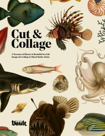 Cut and Collage by Kale James 9781925968774