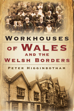 Workhouses of Wales and the Welsh Borders by Peter Higginbotham