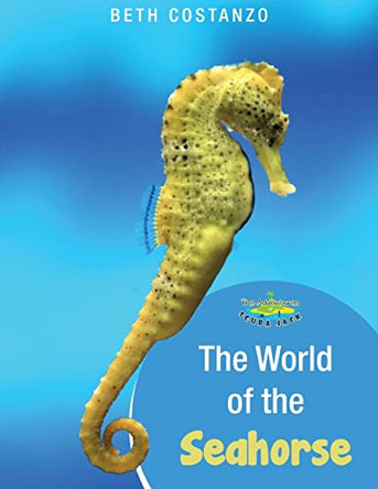 Seahorse Activity Workbook For Kids ages 4-8 by Beth Costanzo 9781087957111