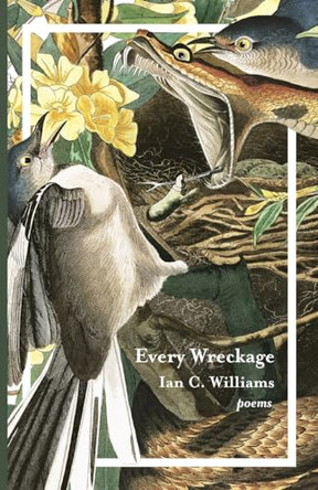 Every Wreckage: Poems by Ian C Williams 9781594981227