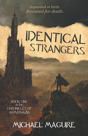 Identical Strangers by Michael Maguire 9781736818336