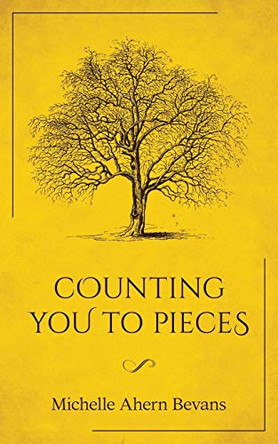 Counting You to Pieces by Michelle Ahern Bevans 9781922440174