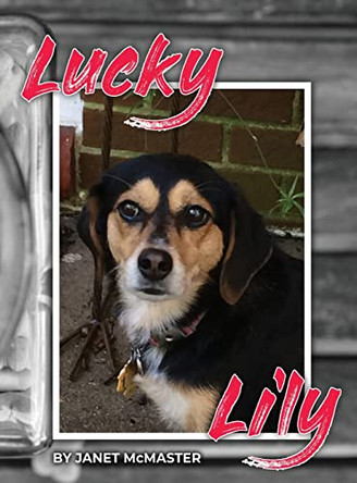 Lucky Lily by Janet McMaster 9781685373306