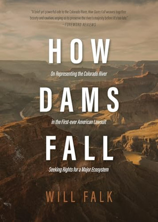 How Dams Fall by Will Falk 9781965320396