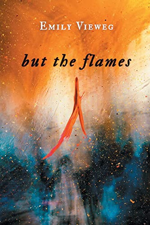 but the flames by Emily Vieweg 9781646624164