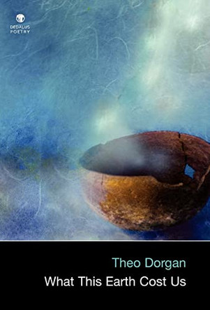 What This Earth Cost Us by Theo Dorgan 9781904556947